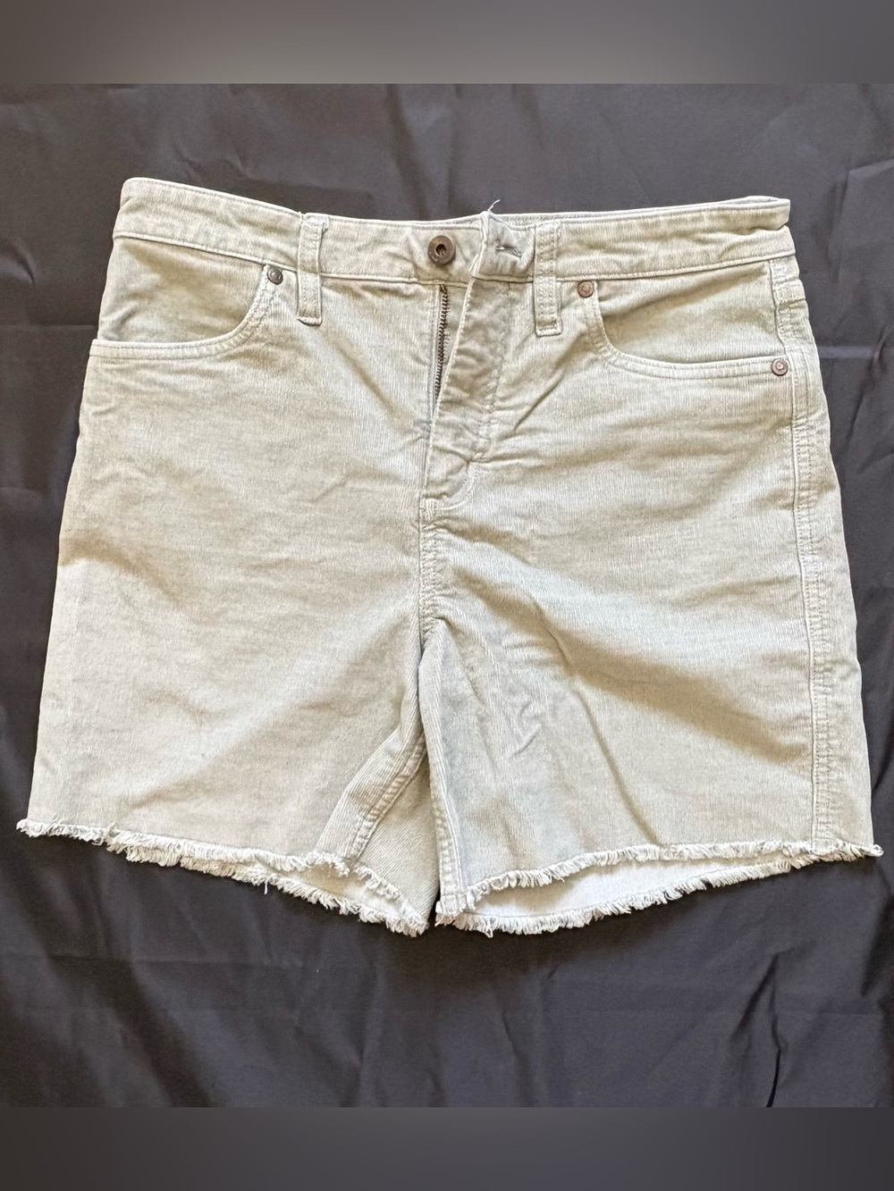 Carve Designs Light Gray Frayed Hem Denim Shorts